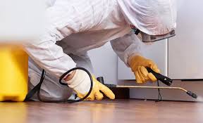 Best Residential Pest Control  in Westminster, LA